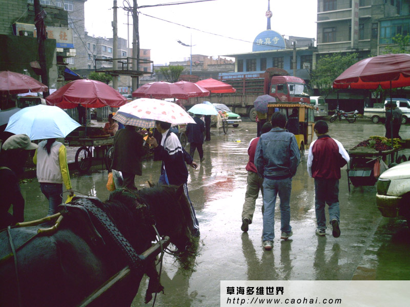 健康路口
