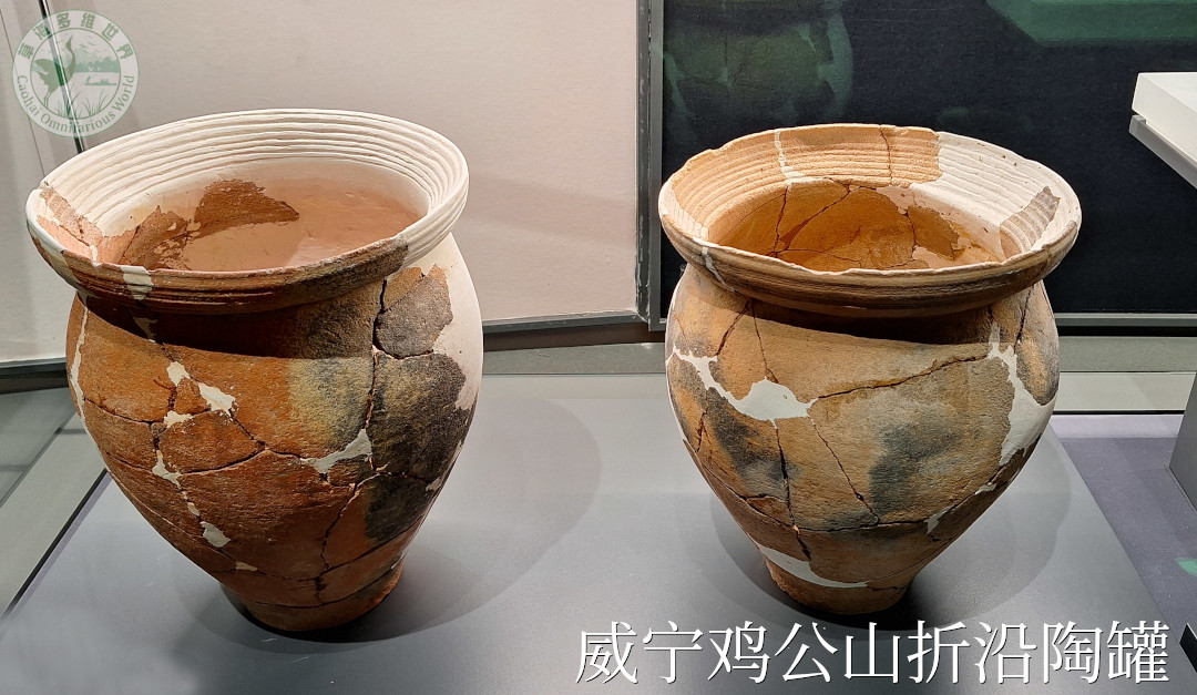 中水鸡公山遗址出土的折沿陶罐