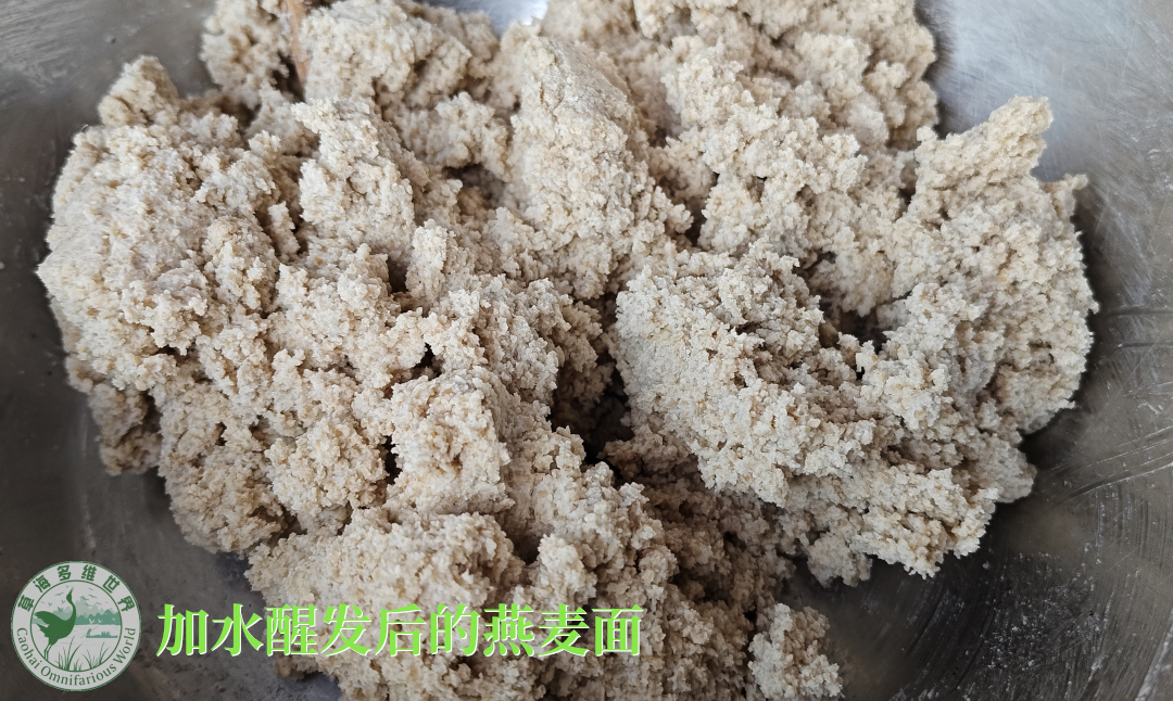 加水醒发后的燕麦面粉