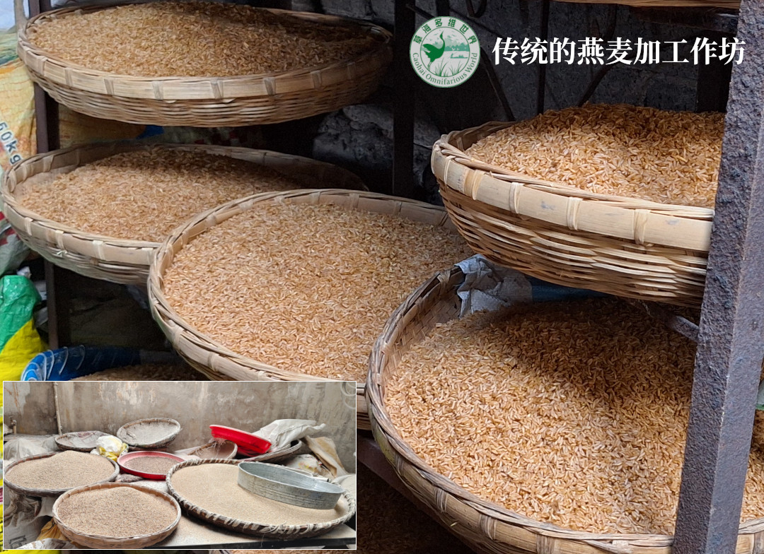 传统的燕麦加工作坊